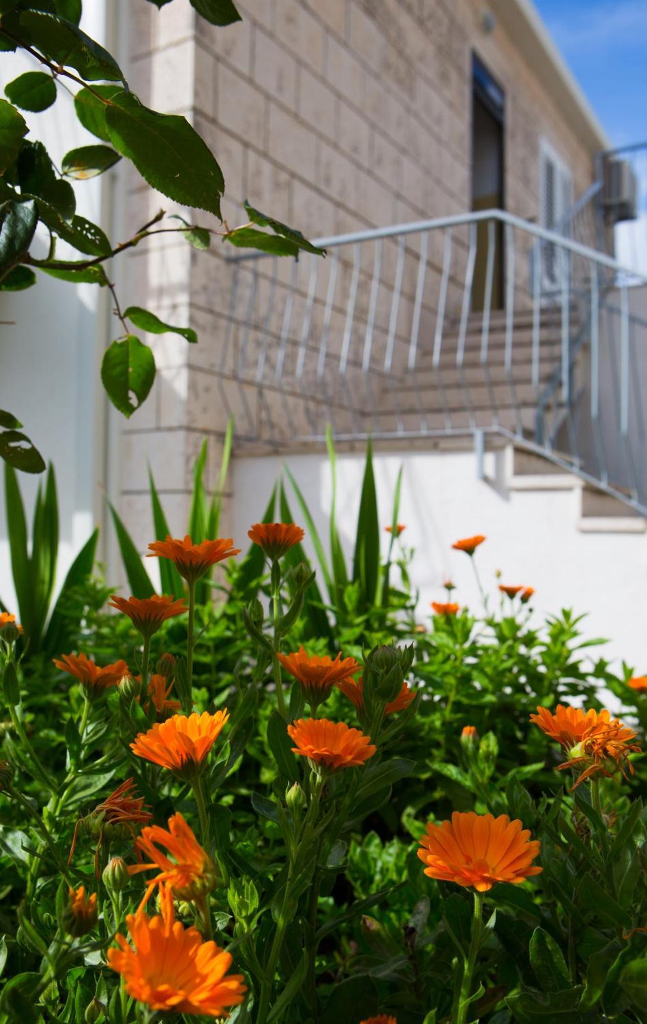 Aida Apartments And Rooms For Couples And Families Free Parking دوبروفينك المظهر الخارجي الصورة